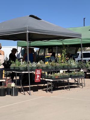 Heirloom Farmers Markets | Rillito Park by null