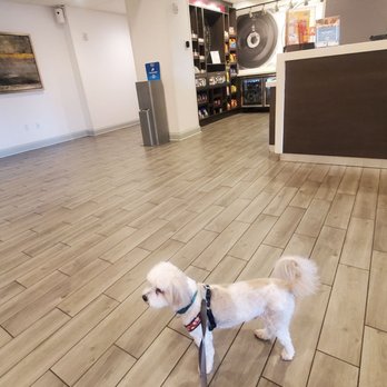 Hampton Inn Eufaula - Pet friendly hotel - Hotels Near Me - Eufaula, Alabama Hampton Inn Eufaula - Pet friendly hotel - Hotels Near Me - Eufaula, Alabama