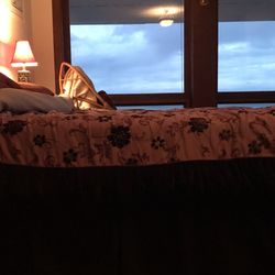 Castle Cove Inn - The bed that's in our room that has LUMPS and has many broken SPRINGS
