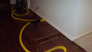 Slide of Butler Restoration