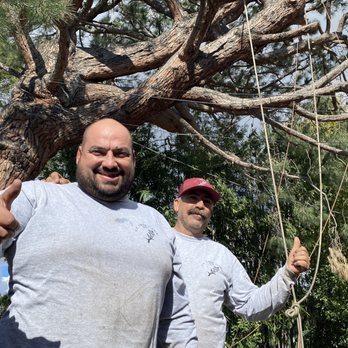 CC Tree Care - After one or two days worth of cutting, chopping away, Tino, his father, and crew remained enthusiastic! - Tree Services Near Me