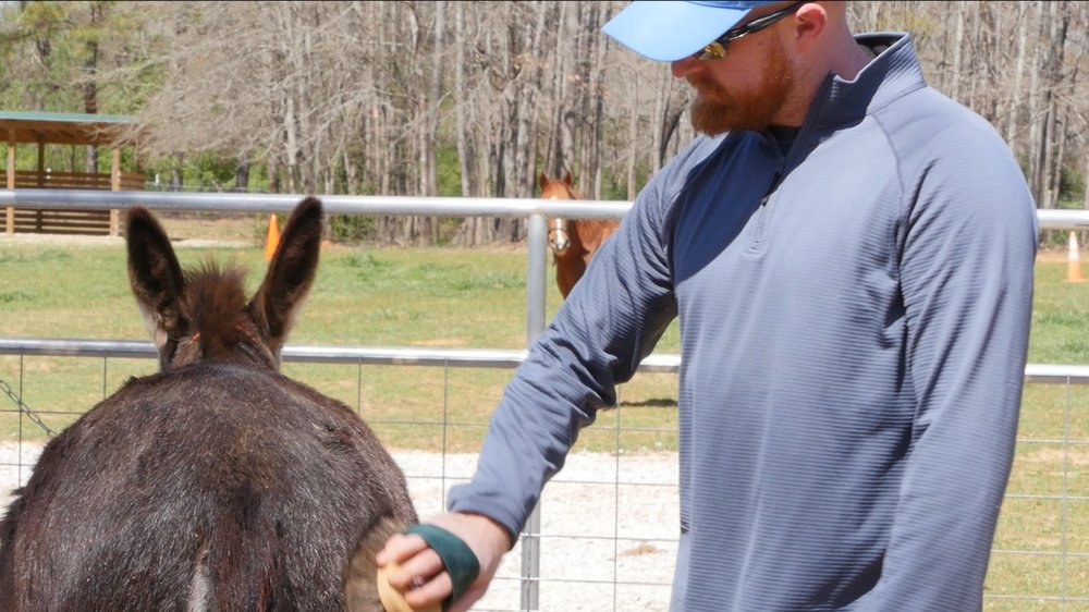 Counseling and Counselor Education Services of Georgia - grief counselor in McDonough, GA