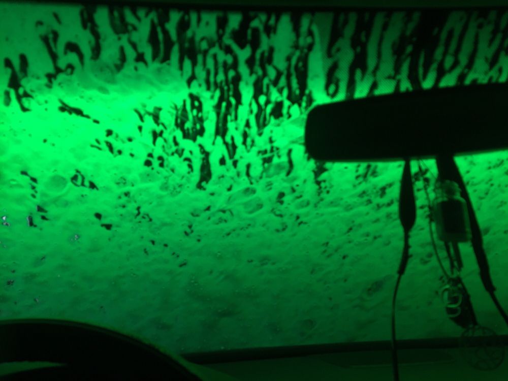 SplashNDash Car Wash, Jacksonville Roadtrippers