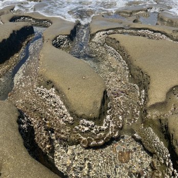La Jolla Tide Pools - Beaches Near Me - La Jolla, California La Jolla Tide Pools - Beaches Near Me - La Jolla, California