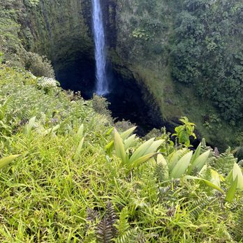 Akaka Falls State Park - Parks Near Me - Honomu, Hawaii