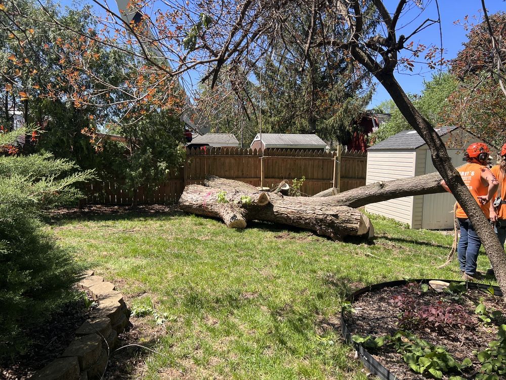 Larry's Lawn Service - tree service in Grand Rapids, MI