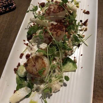OLIVIA - Scallops - Italian Near Me - Tampa, Florida OLIVIA - Scallops - Italian Near Me - Tampa, Florida