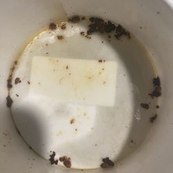 Arby's - Hair in my Steak Nuggets (5 ea.)