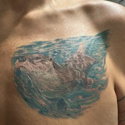 Otter
