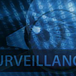 MSI Detective Services - Video Surveillance Experts