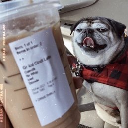 Cinnamon Dolce Latte, blonde, oat milk, no whip