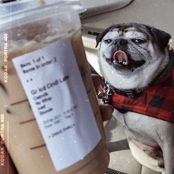 Starbucks - Cinnamon Dolce Latte, blonde, oat milk, no whip - Coffee & Tea Near Me - Chino, California