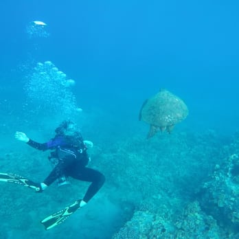 Scuba Shack - Snorkeling Near Me - Kihei, Hawaii Scuba Shack - Snorkeling Near Me - Kihei, Hawaii