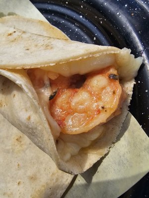 TacoFish by null