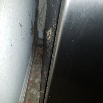 Adriana's House Cleaning - Post-"cleaning" area between refrigerator and wall. - Home Cleaning Near Me - San Francisco, California