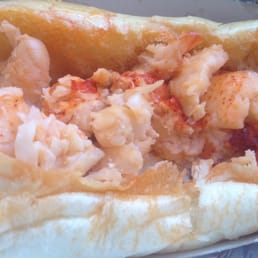 Hot slathered in butter lobster roll