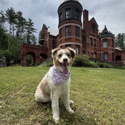 Wilson Castle - Wilson castle