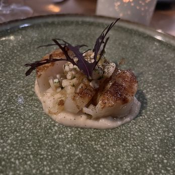 Heritage - Grilled diver scallop. - Modern European Near Me - Long Beach, California