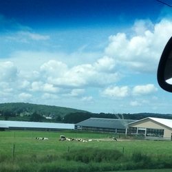 R&D Adams Dairy Farms - Farm and field