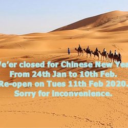Panda Dim Sum - Closed for holiday till 10th Feb 2020.