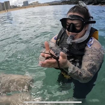 Try Scuba Diving - Honolulu - Holding a star fish - Scuba Diving Near Me - Honolulu, Hawaii Try Scuba Diving - Honolulu - Holding a star fish - Scuba Diving Near Me - Honolulu, Hawaii