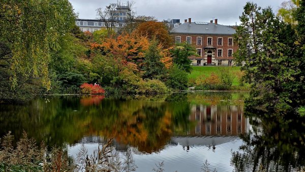 Botanical Garden by null Botanical Garden by null