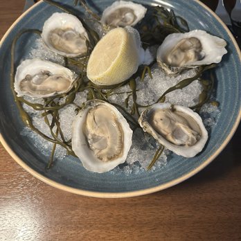 Glass Light - Oysters on the half shell - New American Near Me - Norfolk, Virginia