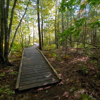 Donnabeth Lippman Park - Hiking Near Me - Windham, Maine Donnabeth Lippman Park - Hiking Near Me - Windham, Maine