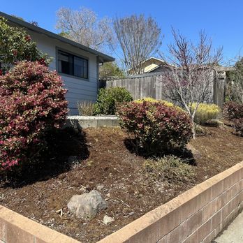 O.C.O. Landscaping - Just a small sample of the work he did on my corner lot. - Landscaping Near Me O.C.O. Landscaping - Just a small sample of the work he did on my corner lot. - Landscaping Near Me