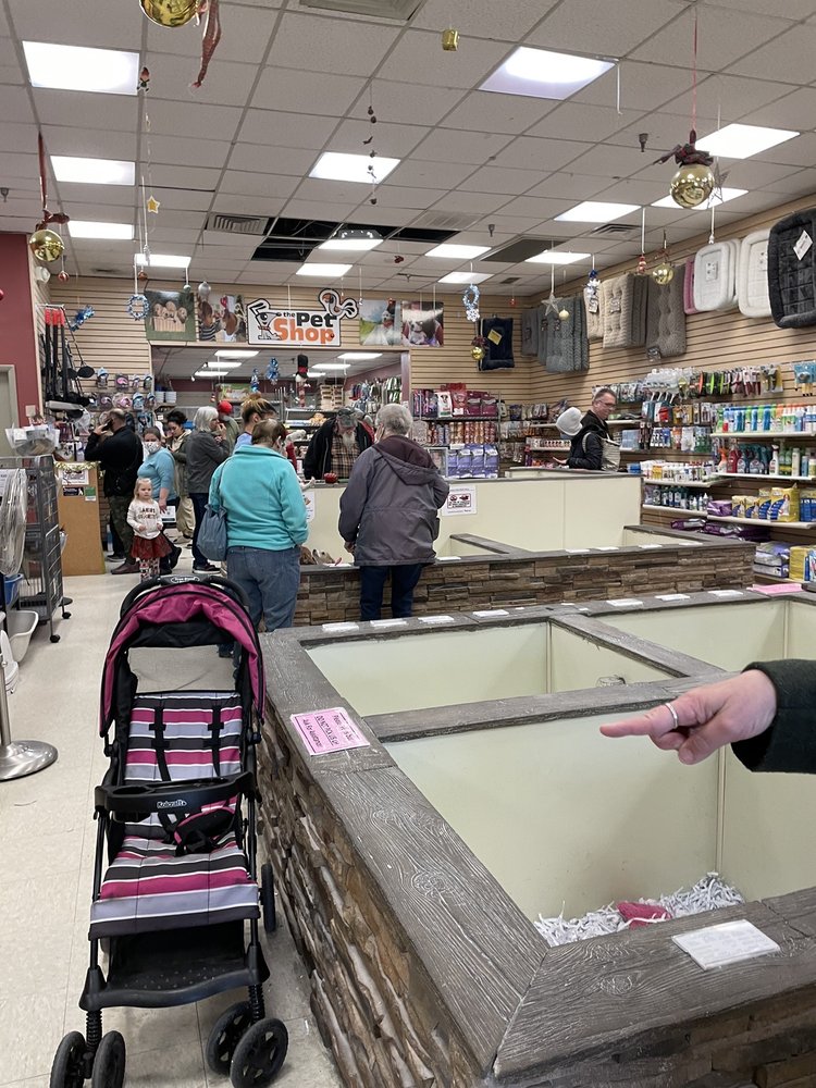 PET SHOP 15 Reviews Pet Stores 113 Palmer Park Mall, Easton, PA