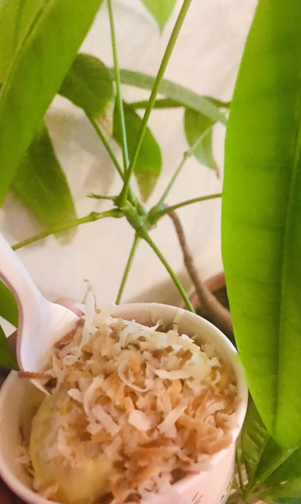 The Greenery Creamery