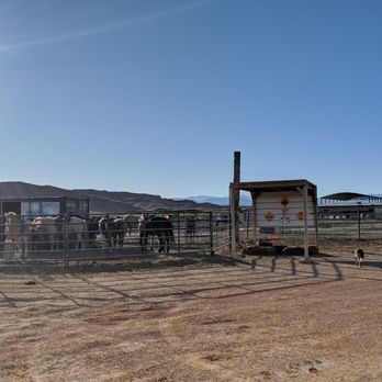 Wild West Horseback Adventures - Horseback Riding Near Me - Las Vegas, Nevada Wild West Horseback Adventures - Horseback Riding Near Me - Las Vegas, Nevada