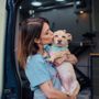 Photo of Soul Paws Mobile Grooming