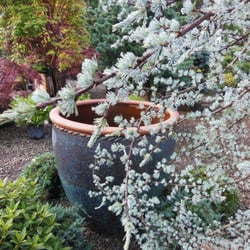 Stonegate Gardens - http://www.stonegategardens.com/pottery/
