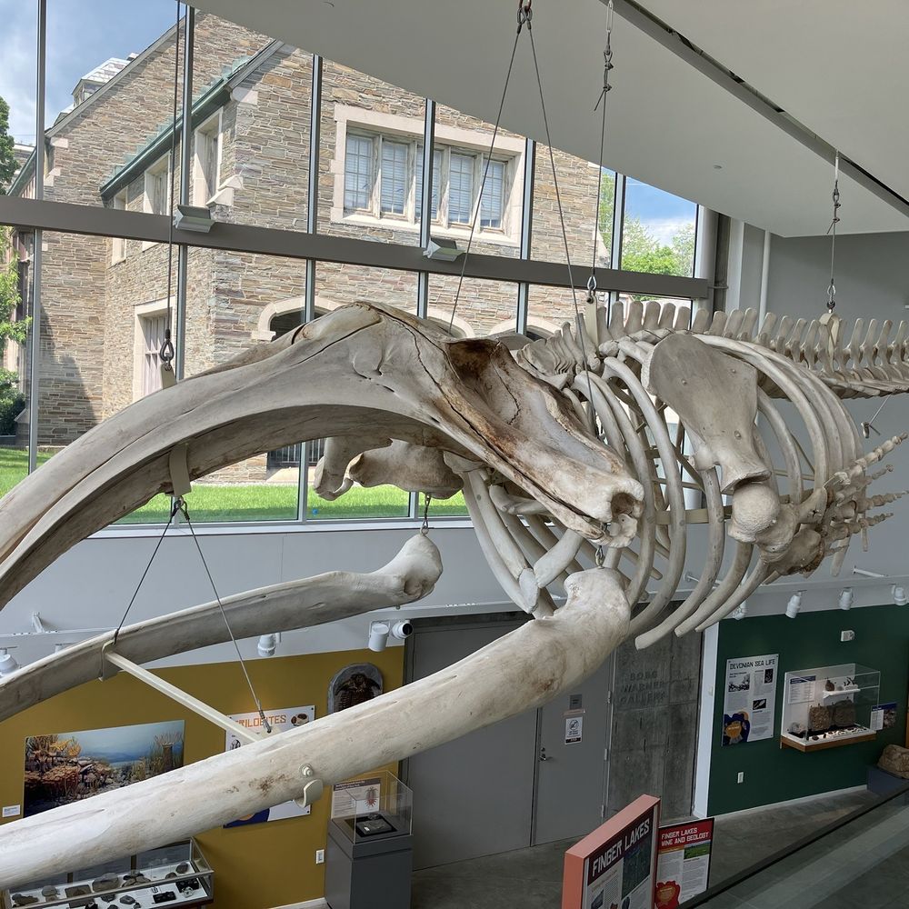 TOP 10 BEST Kids Activities near Sherrill, NY - Updated 2026 - Yelp