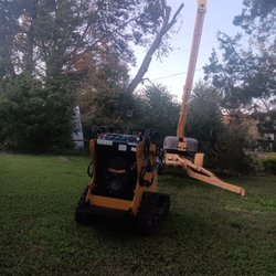 Pelts Tree Trimming