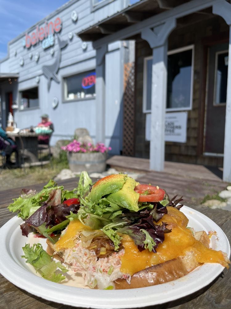 LA BALEINE CAFÉ 92 Photos & 93 Reviews Cafes 4460 Homer Spit Rd