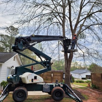 Roble Tree Care - a man on a cherry picker - Landscaping Near Me - Senoia, Georgia Roble Tree Care - a man on a cherry picker - Landscaping Near Me - Senoia, Georgia