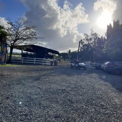 Puerto Rico Experiences & Tours - The Horse boarding area