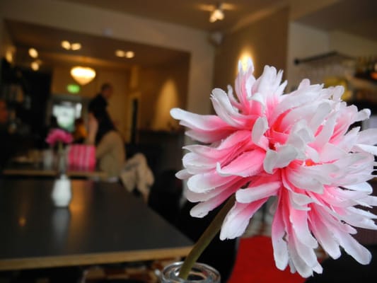 Mellqvist Cafe & Bar by null