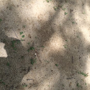 Woods Edge Apartment Homes - Broken glass all over playground - Apartments Near Me - Muncie, Indiana Woods Edge Apartment Homes - Broken glass all over playground - Apartments Near Me - Muncie, Indiana
