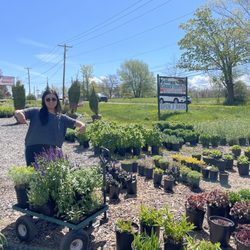 Paul Kellogg's Garden Center & Landscaping - A few of the plants we purchased.
