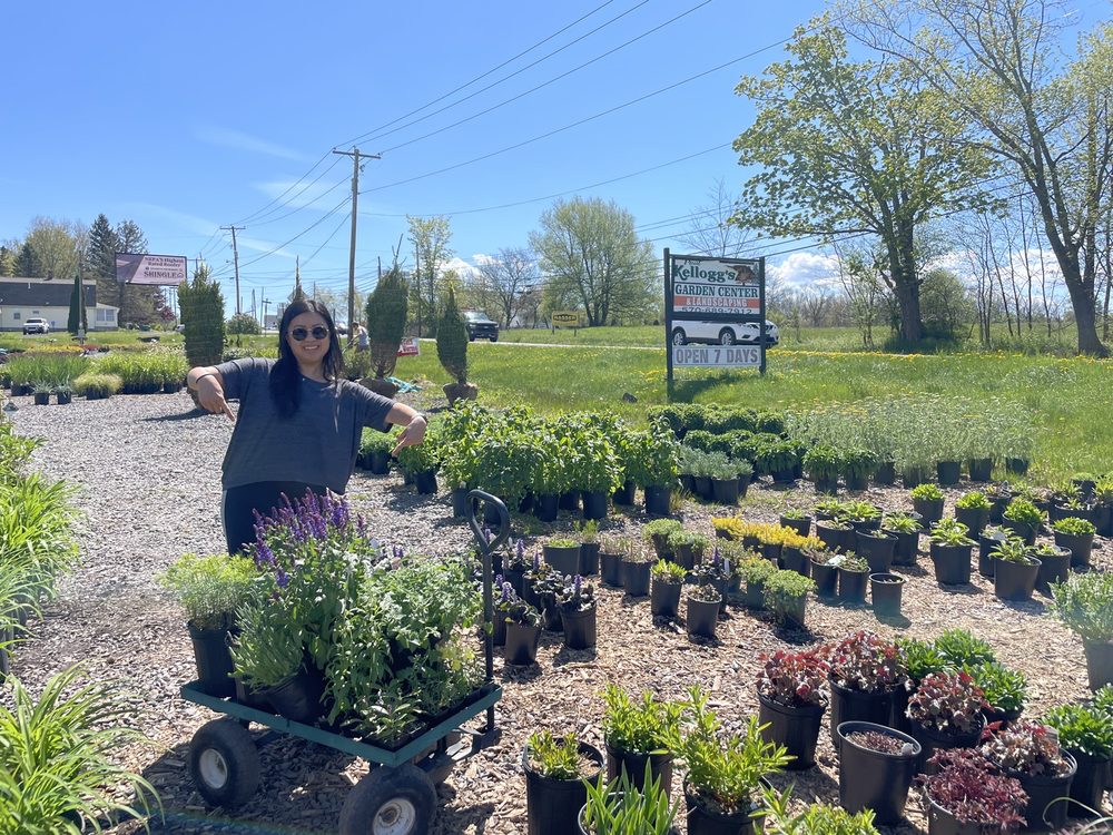 PAUL KELLOGG’S GARDEN CENTER & LANDSCAPING Updated September 2024 10 Reviews Corner of