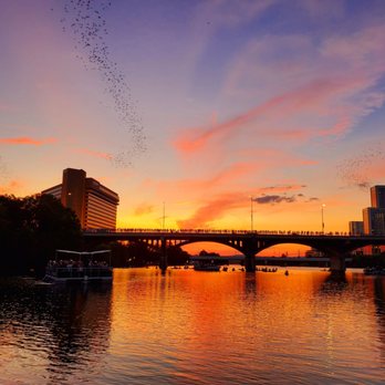 Lone Star Riverboat - Bats overhead! - Boat Charters Near Me - Austin, Texas Lone Star Riverboat - Bats overhead! - Boat Charters Near Me - Austin, Texas