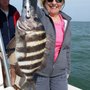 Photo of Sarasota Bay Fishing Charters