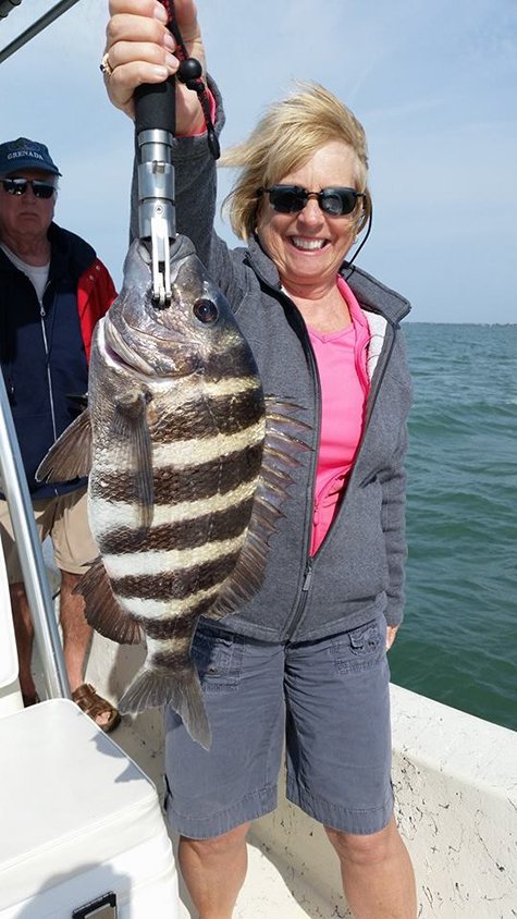 Sarasota Bay Fishing Charters Logo