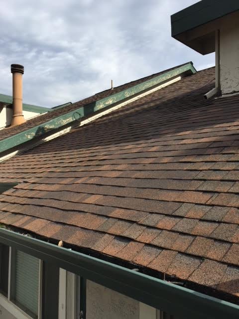 Slide of Roof & Gutter Busters