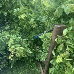 Raymond Lawn & Landscaping