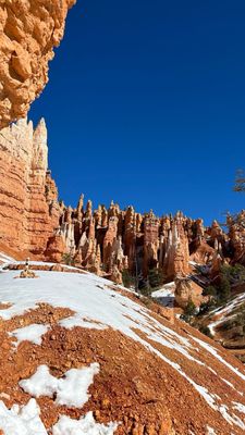 Bryce Amphitheater by null