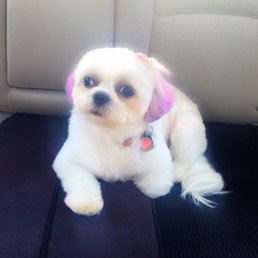 1th time she had her hair cut and color her ear